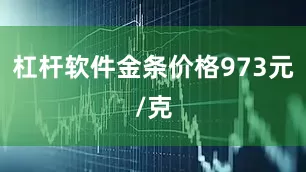 杠杆软件金条价格973元/克