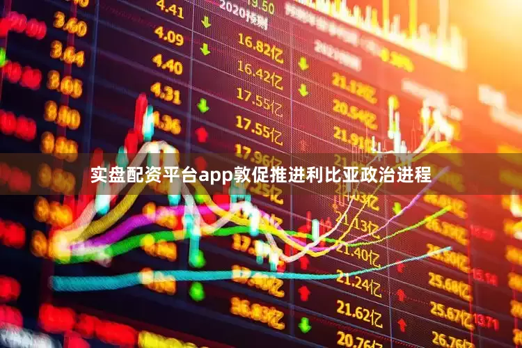 实盘配资平台app敦促推进利比亚政治进程
