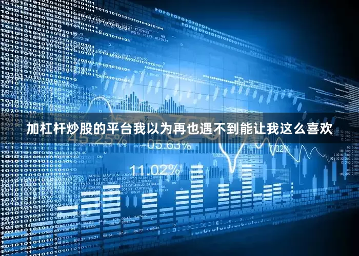 加杠杆炒股的平台我以为再也遇不到能让我这么喜欢