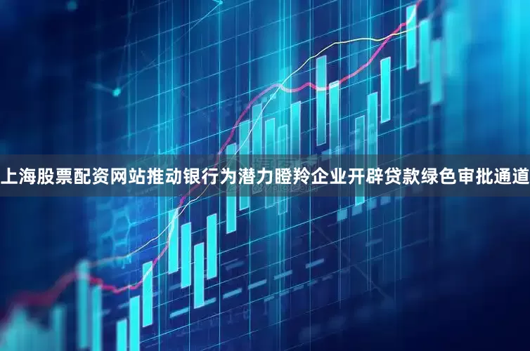 上海股票配资网站推动银行为潜力瞪羚企业开辟贷款绿色审批通道