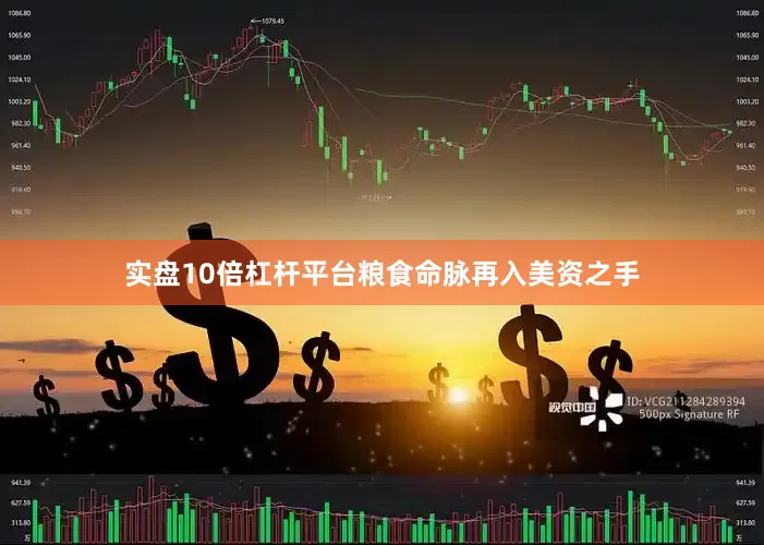 实盘10倍杠杆平台粮食命脉再入美资之手
